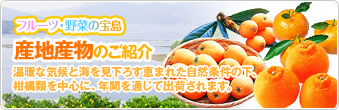フルーツ・野菜の宝島 産地産物のご紹介…温暖な気候と海を見下ろす恵まれた自然条件の下、柑橘類を中心に、年間を通じて出荷されます。