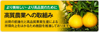 より美しい・より高品質のために 高質農業への取組み…出荷の前進化と高品質果実生産による所得向上をはかるため施設を吸推進しております。