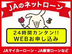 JAのネットローン