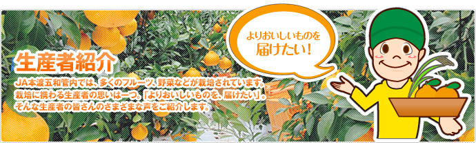 JA本渡五和管内では、多くのフルーツ、野菜などが栽培されています。