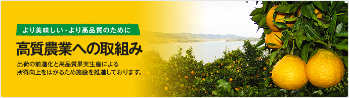 より美味しい・より高品質のために 高質農業への取り組み 出荷の前進化と高品質果実生産による所得向上をはかるため施設を推進しております。