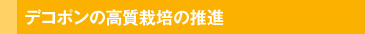 デコポンの高質栽培の推進